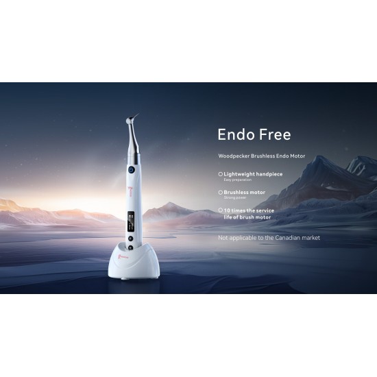 Woodpecker EndoFree Cordless Brushless Endo Motor RCT Device
