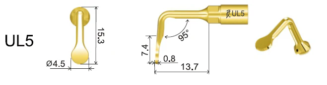 UL5_01.webp