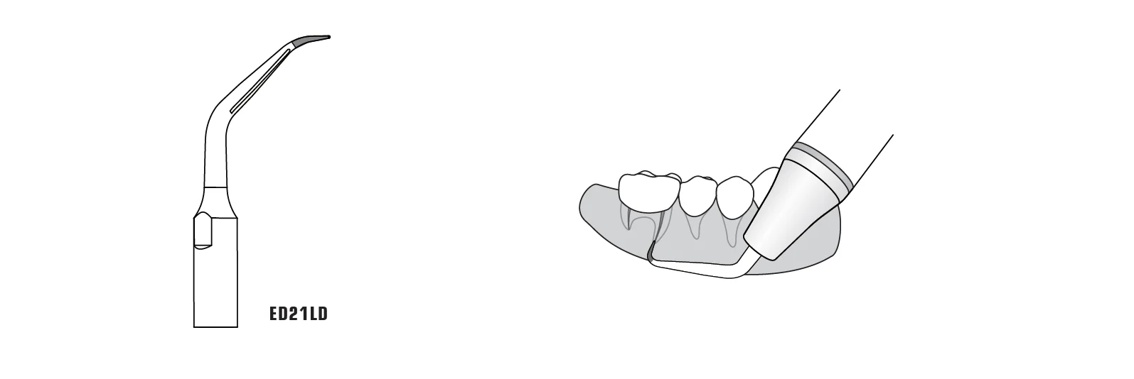 ED21LD_04.webp